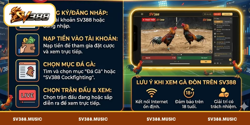 Cách xem đá gà đòn SV388 khá đơn giản