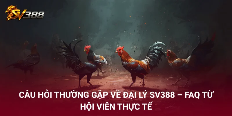 Câu hỏi thường gặp về đại lý SV388 – FAQ từ hội viên thực tế
