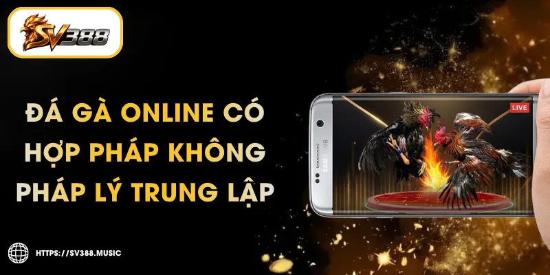 Đá Gà Online Có Hợp Pháp Không – Pháp Lý Trung Lập 2026
