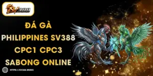 Đá Gà Philippines SV388 – CPC1 CPC3 Sabong Online