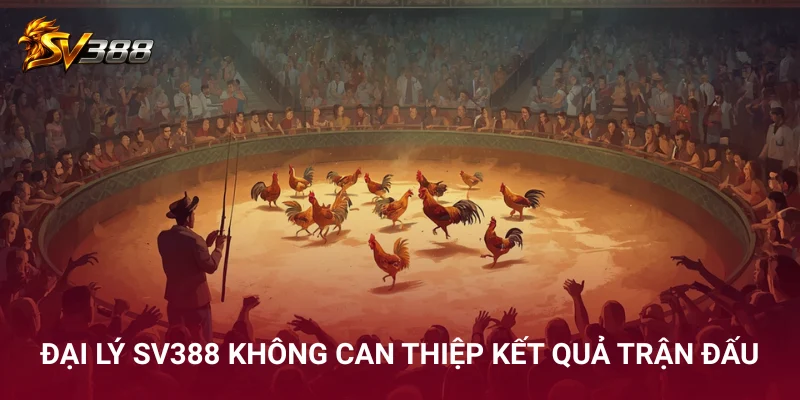 Đại lý SV388 không can thiệp kết quả trận đấu