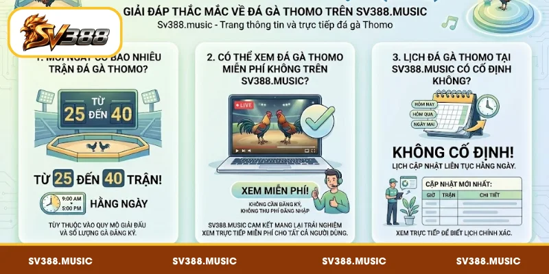FAQ – Câu hỏi thường gặp về lịch đá gà Thomo