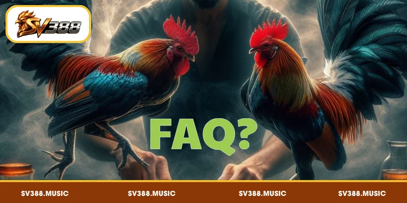 FAQ – Giải đáp thắc mắc liệu SV388 có uy tín không