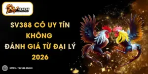 SV388 Có Uy Tín Không – Đánh Giá Từ Đại Lý 2026