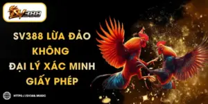 SV388 Lừa Đảo Không – Đại Lý Xác Minh Giấy Phép