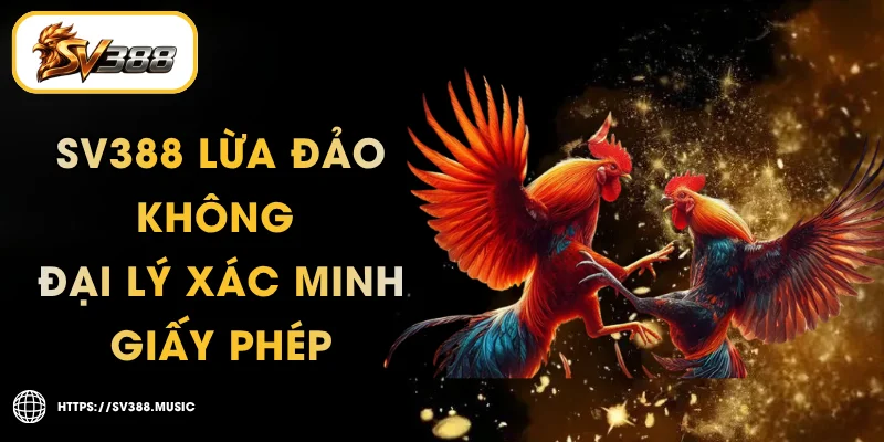 SV388 Lừa Đảo Không – Đại Lý Xác Minh Giấy Phép
